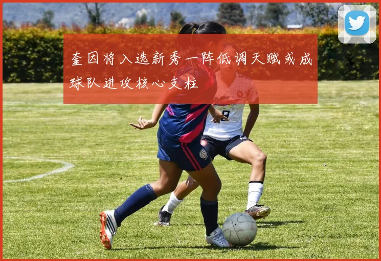 奎因将入选新秀一阵低调天赋或成球队进攻核心支柱