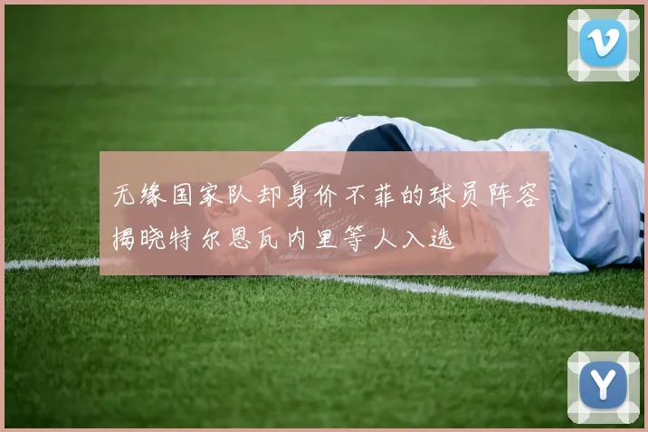 无缘国家队却身价不菲的球员阵容揭晓特尔恩瓦内里等人入选