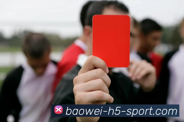 宝威体育APP 封面图